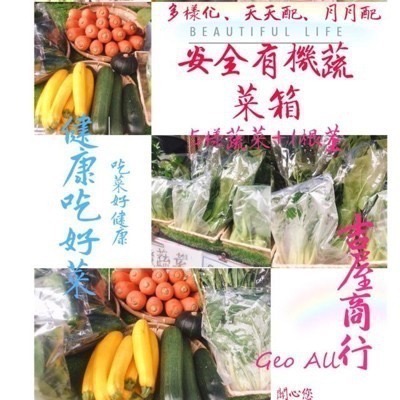 安全友善蔬菜箱12樣 天天配月月配🇩🇪吉屋商行Geo All🇩🇪-細節圖4