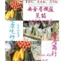 安全友善蔬菜箱12樣 天天配月月配🇩🇪吉屋商行Geo All🇩🇪-規格圖4