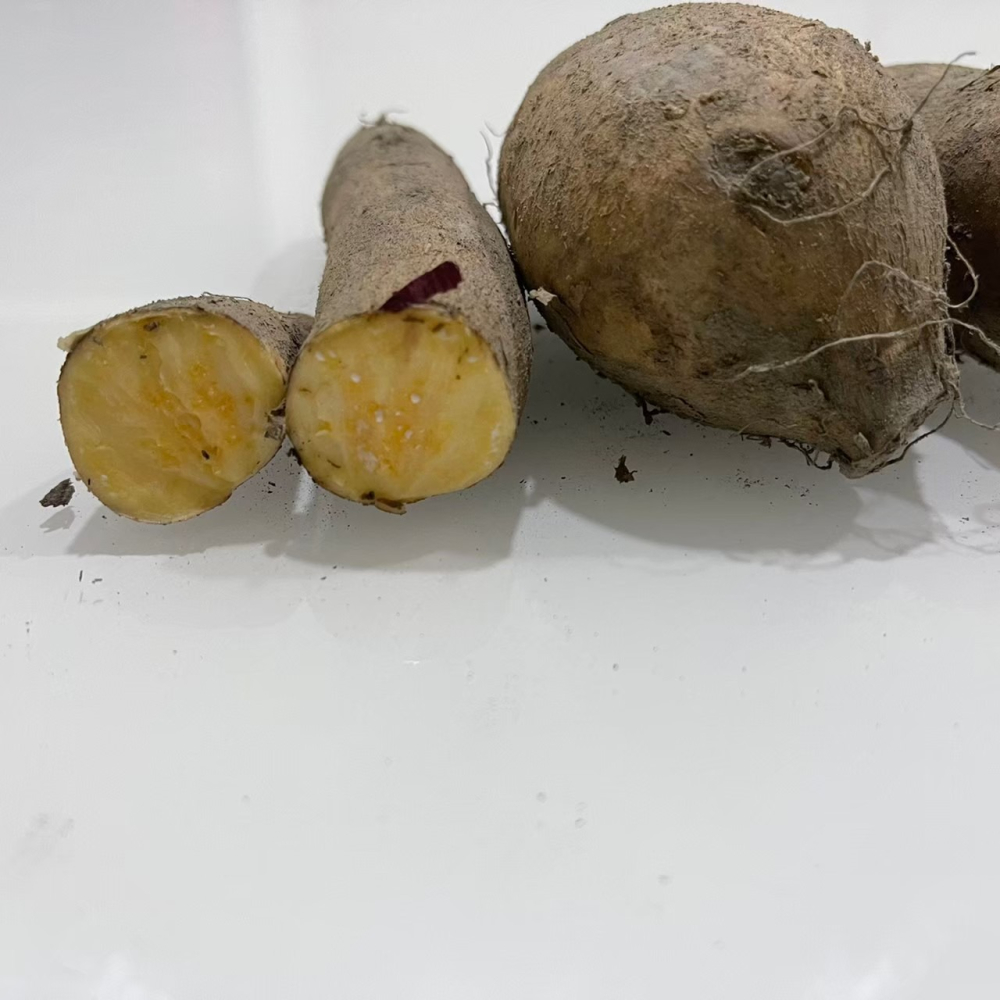 ［水林安心地瓜］🍠台農57號地瓜🍠2條🇩🇪吉屋商行Geo All🇩🇪-細節圖2