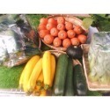安全有機蔬菜箱5菜+1根莖