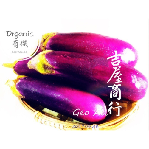 【新鮮蔬果】醬油的好姐妹【安全友善】 🍆茄子🍆🇩🇪吉屋商行 Geo All🇩🇪鮮甜又好吃的🍆，限購5公斤