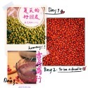 【好吃推薦】嚴選頂級【毛綠豆、紅豆、薏仁】夏天好朋友🇩🇪吉屋商行Geo All🇩🇪夏天解暑湯品，一次最多購入8包-規格圖4