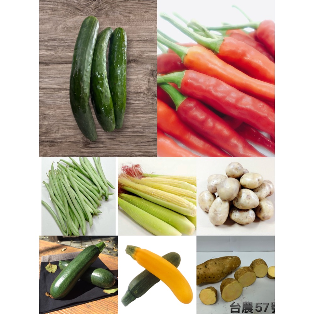 安全友善蔬菜箱7樣 🇩🇪吉屋商行Geo All🇩🇪 一次最多2組-細節圖7