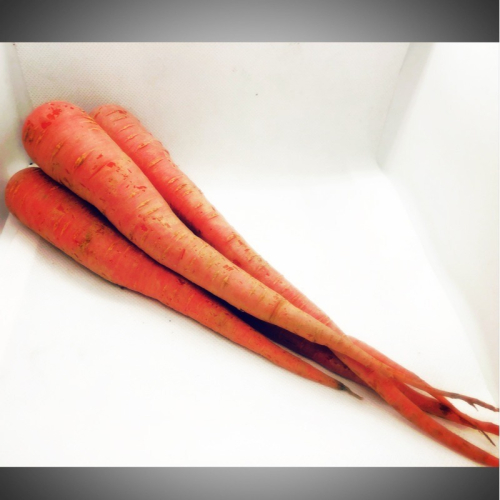 【新鮮蔬果】【有機】彩色胡蘿蔔🇩🇪吉屋商行 Geo All🇩🇪安心品質、安定您心，一次限購1組