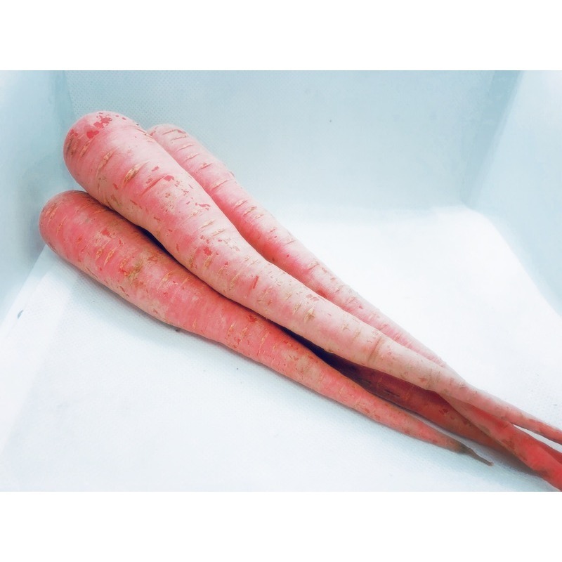 【新鮮蔬果】彩色胡蘿蔔🇩🇪吉屋商行 Geo All🇩🇪安心品質、安定您心，一次限購1組-細節圖3