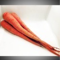 【新鮮蔬果】彩色胡蘿蔔🇩🇪吉屋商行 Geo All🇩🇪安心品質、安定您心，一次限購1組-規格圖4