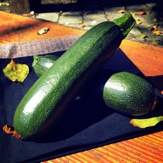 【櫛瓜（節瓜） 20斤免運】下單處🇩🇪吉屋商行 Geo All🇩🇪-細節圖2