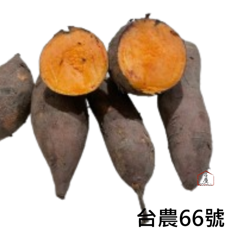 ★活動促銷 買一送一 ★ 水林安心地瓜（小條）】超取最多8斤，台農66號-條貨🇩🇪吉屋商行 Geo All🇩🇪-細節圖2