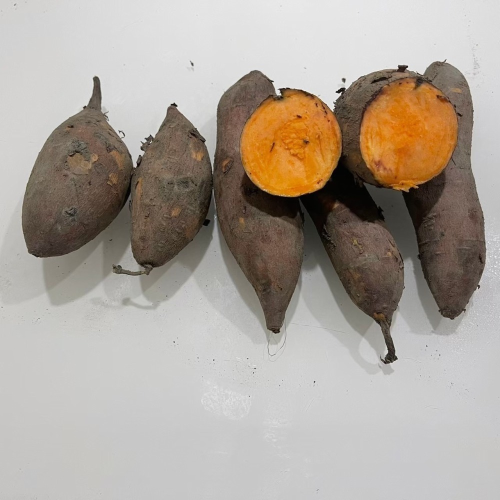 ★活動促銷 買一送一 ★ 水林安心地瓜（小條）】超取最多8斤，台農66號-條貨🇩🇪吉屋商行 Geo All🇩🇪-細節圖3