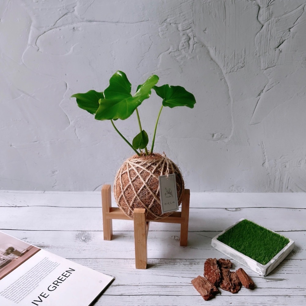 周邊商品加購區-細節圖3