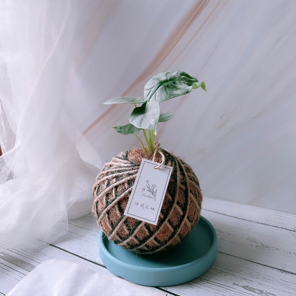 周邊商品加購區-細節圖4