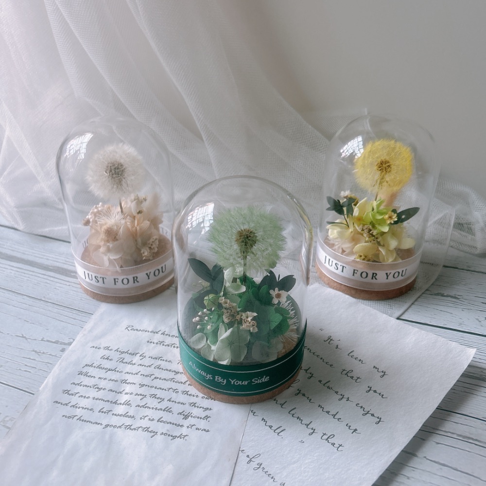 蒲公英永生花玻璃罩 生日禮 情人禮-細節圖4