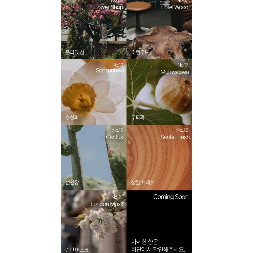 Hetras  飯店療癒身體乳 花園 仙人掌  無花果  五星級飯店 水仙花 全新桑塔爾(檀香) 倫敦麝香 大容量-細節圖2