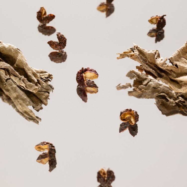 Essential Parfums 帝國之木淡香精限定版-細節圖2