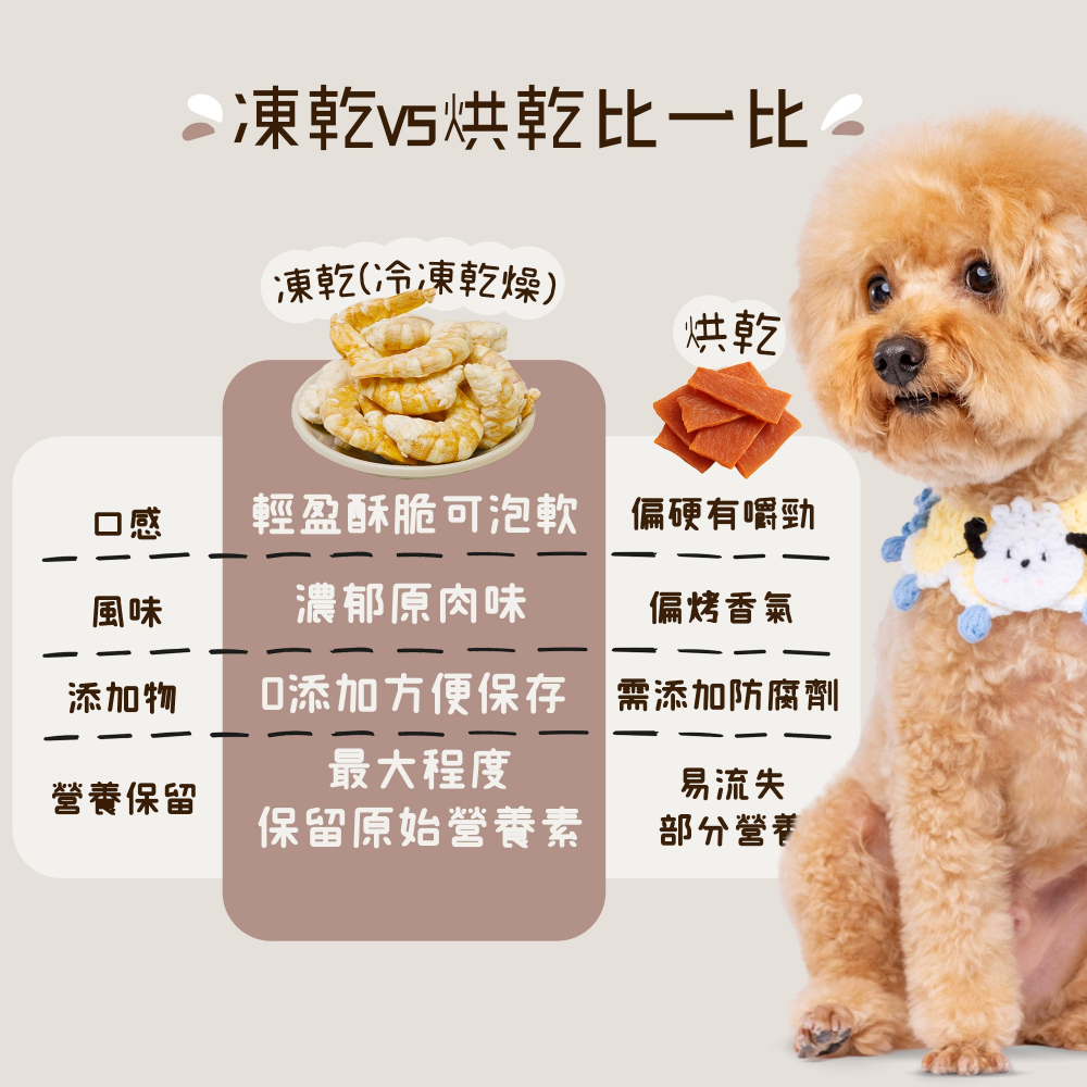 舞桔乾 100%原型凍乾鮭魚丁口味35g/10g-細節圖3