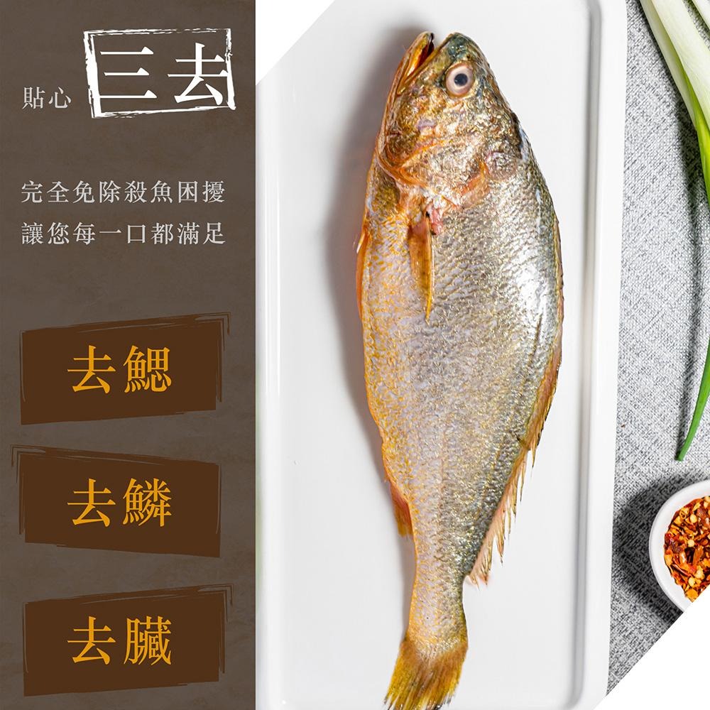 【漢克嚴選】解凍即廚鮮嫩三去黃魚1尾-細節圖3