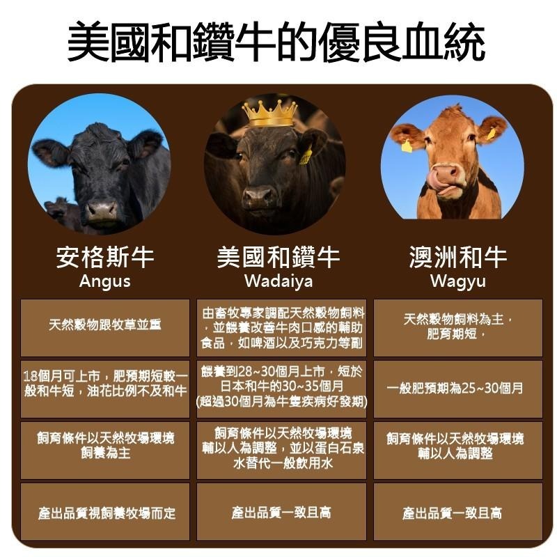 【漢克嚴選】美國和鑽牛PRIME嫩肩沙朗牛排40片組(120g±10%/片)-細節圖4