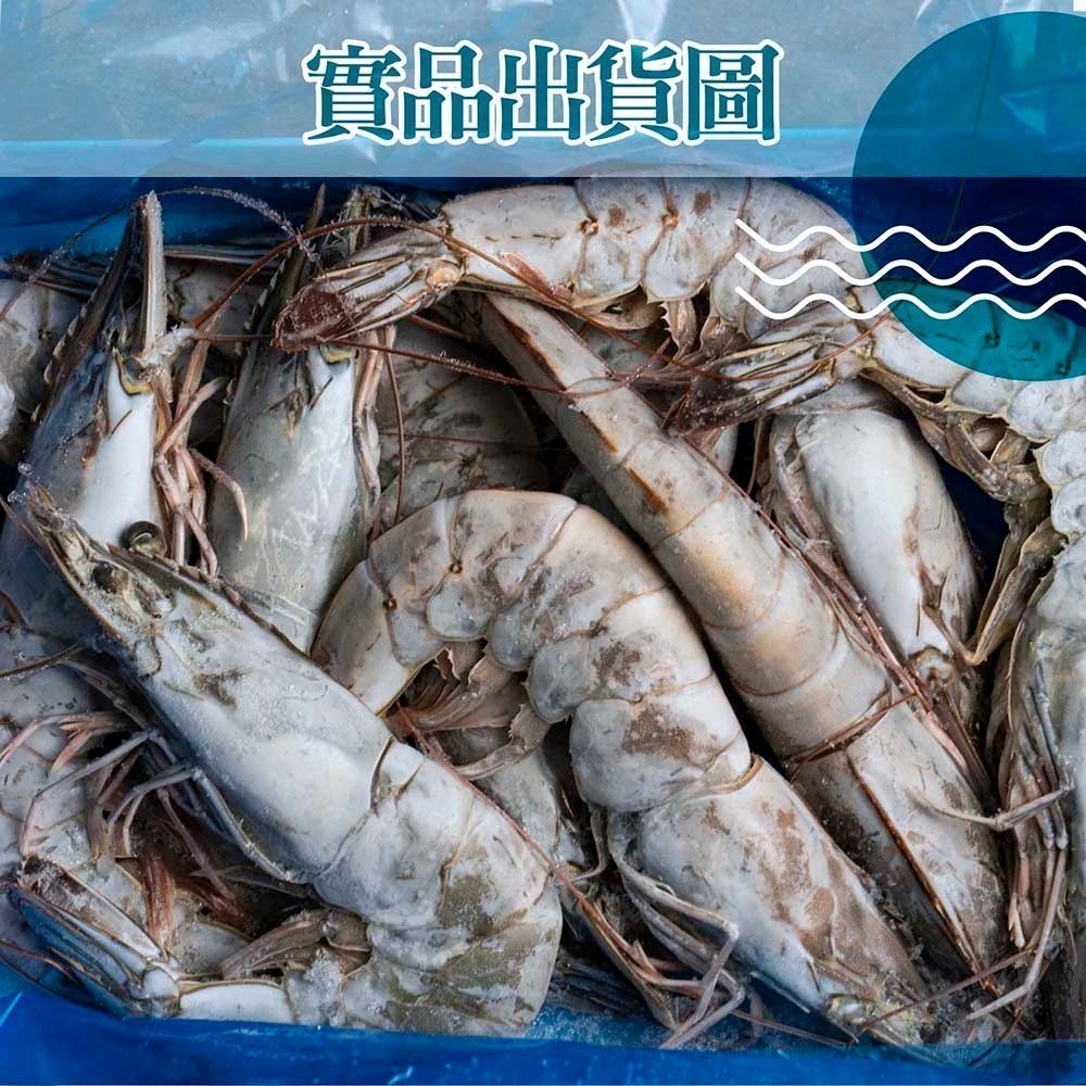 【漢克嚴選】純淨天然野放巨大白蝦霸_2盒(500g/1盒/約8至15尾)-細節圖5