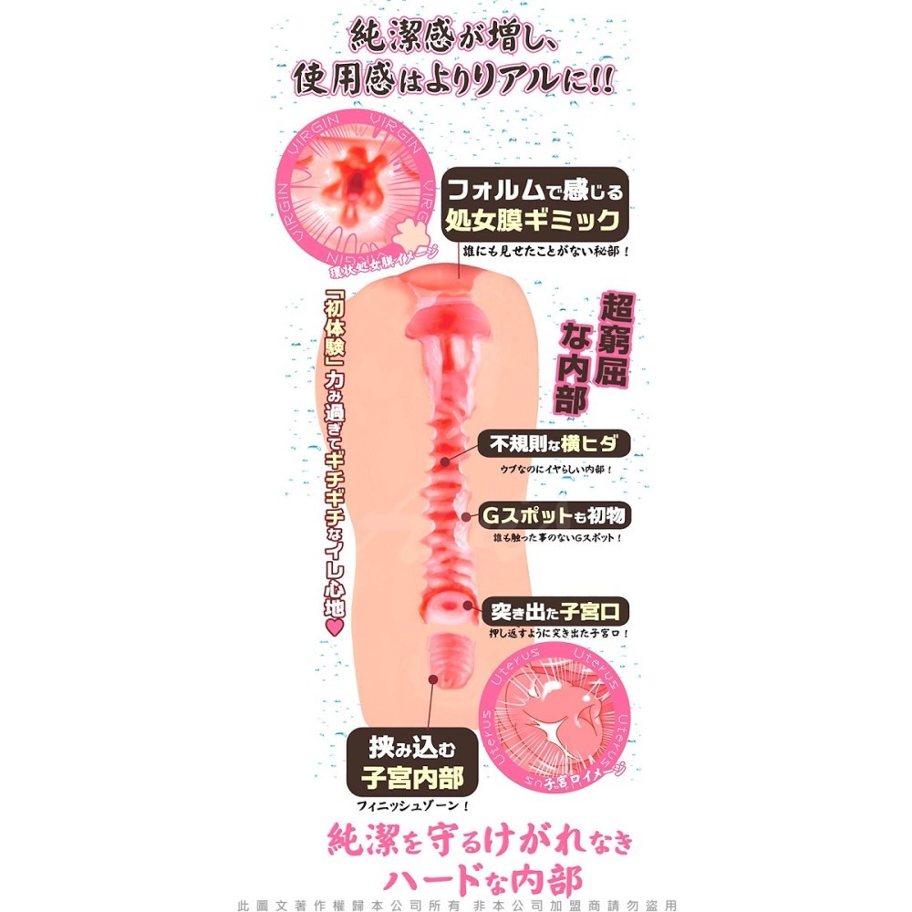 日本對子哈特Toys Heart 純潔的蜜壺 處女膜初體驗 名器自慰套硬版 HARD  對子哈特  飛機杯-細節圖4