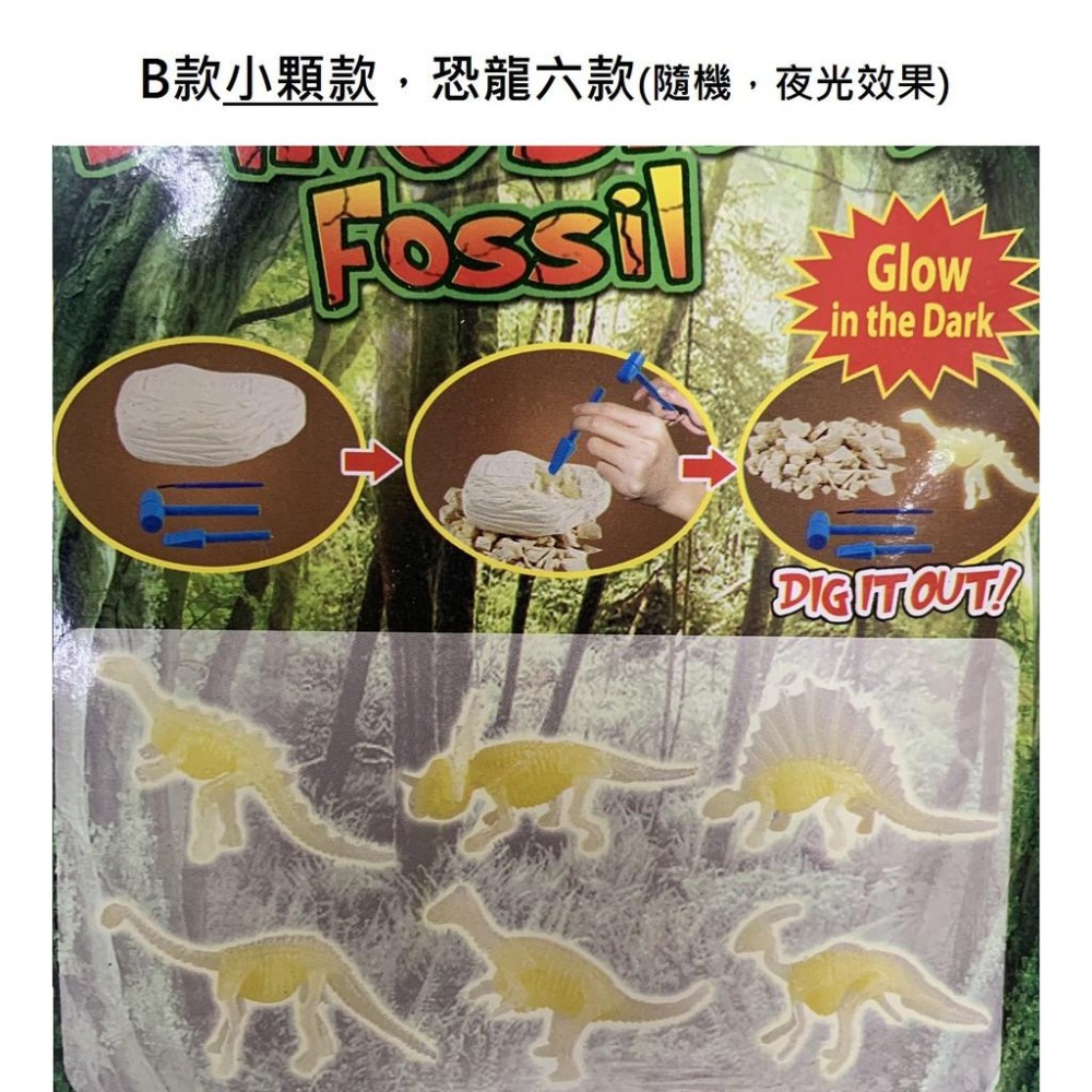 【玩具兄妹】現貨! 挖掘恐龍蛋 附工具 挖掘古代恐龍化石 暴龍 迅猛龍 三角龍 脊背龍 腕龍 副櫛龍 挖掘考古系列-細節圖4