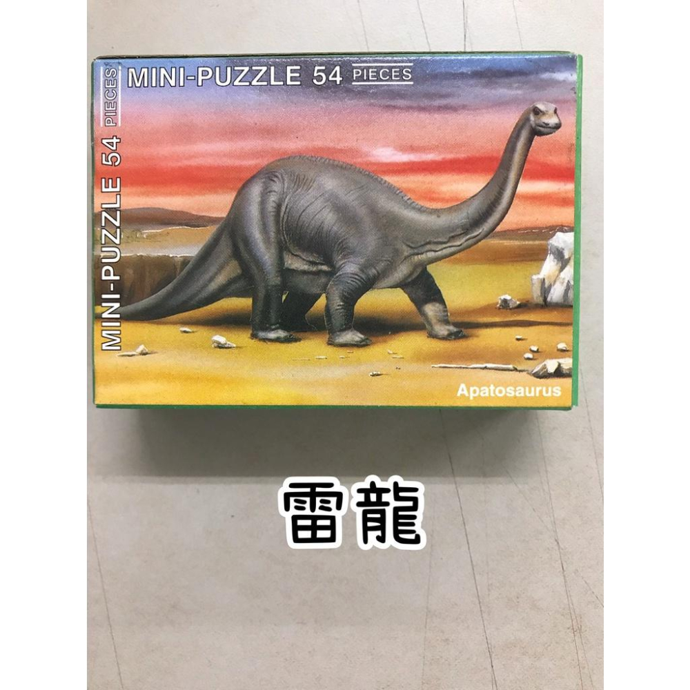 【玩具兄妹】現貨! 絕版美國SAFARI LTD. 54片恐龍迷你拼圖 暴龍/異手龍/異特龍/劍龍/雷龍/長毛象/異齒龍-細節圖5