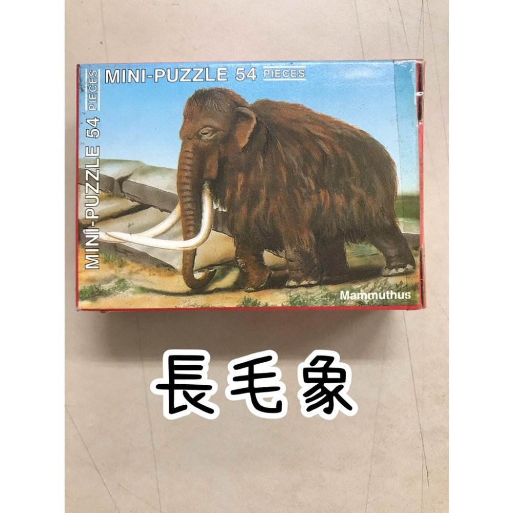 【玩具兄妹】現貨! 絕版美國SAFARI LTD. 54片恐龍迷你拼圖 暴龍/異手龍/異特龍/劍龍/雷龍/長毛象/異齒龍-細節圖8