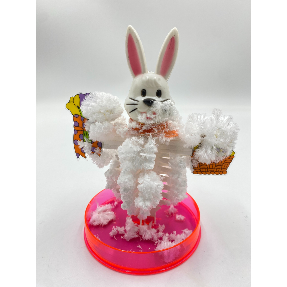 【玩具兄妹】現貨! 紙樹開花(小丑魚/小雞/南瓜/兔子/海豚/稻草人) 精美包裝 神奇樹 神奇聖誕樹 化學實驗 魔法紙樹-細節圖2