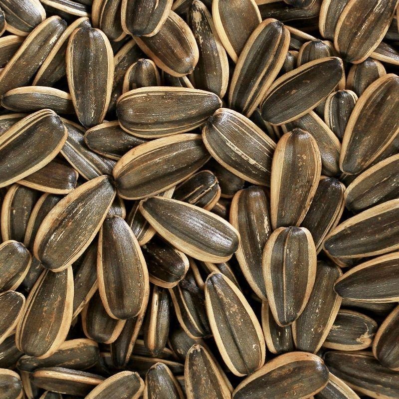 ☀️太陽溏🎉瓜大大紅茶葵瓜子休閒包（70g/48包/箱）🎉-細節圖3