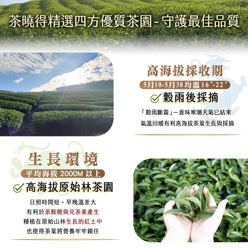 【茶曉得】曉得神獸｜玄武-福壽山烏龍茶葉 清甜豆香｜台灣茶｜可冷熱沖泡-細節圖3