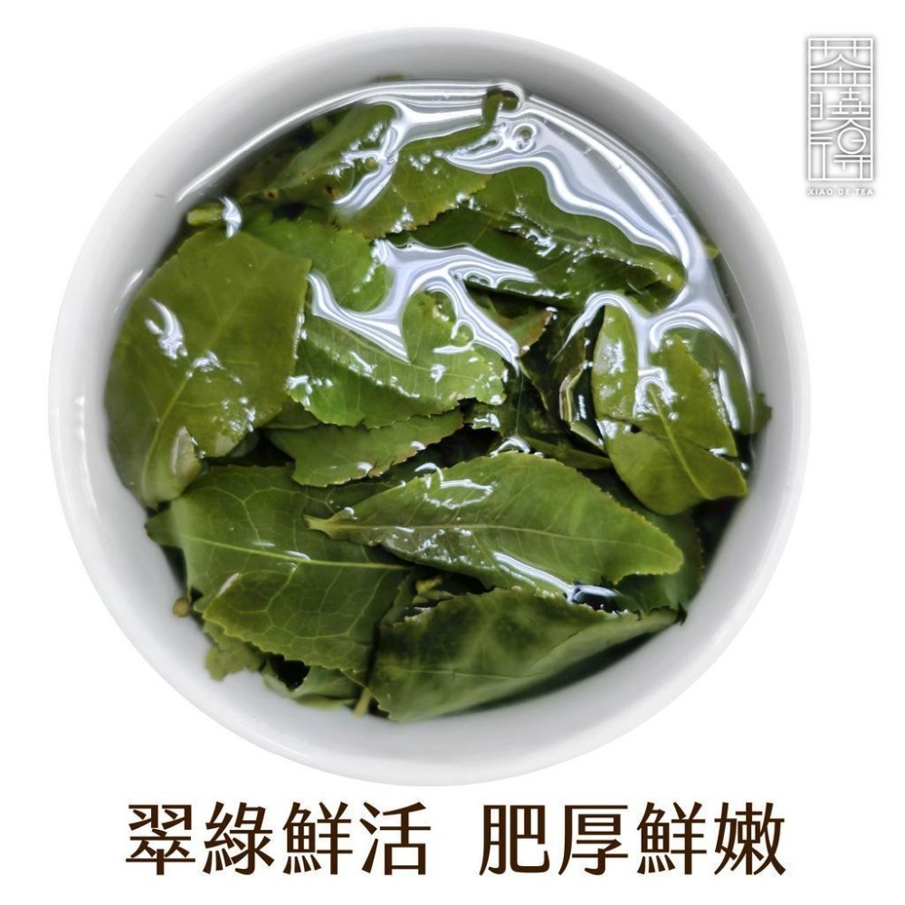 【茶曉得】阿里山達邦金萱茶葉(四兩) 奶油香/柔順香甜/冷熱泡皆可/春茶-細節圖6