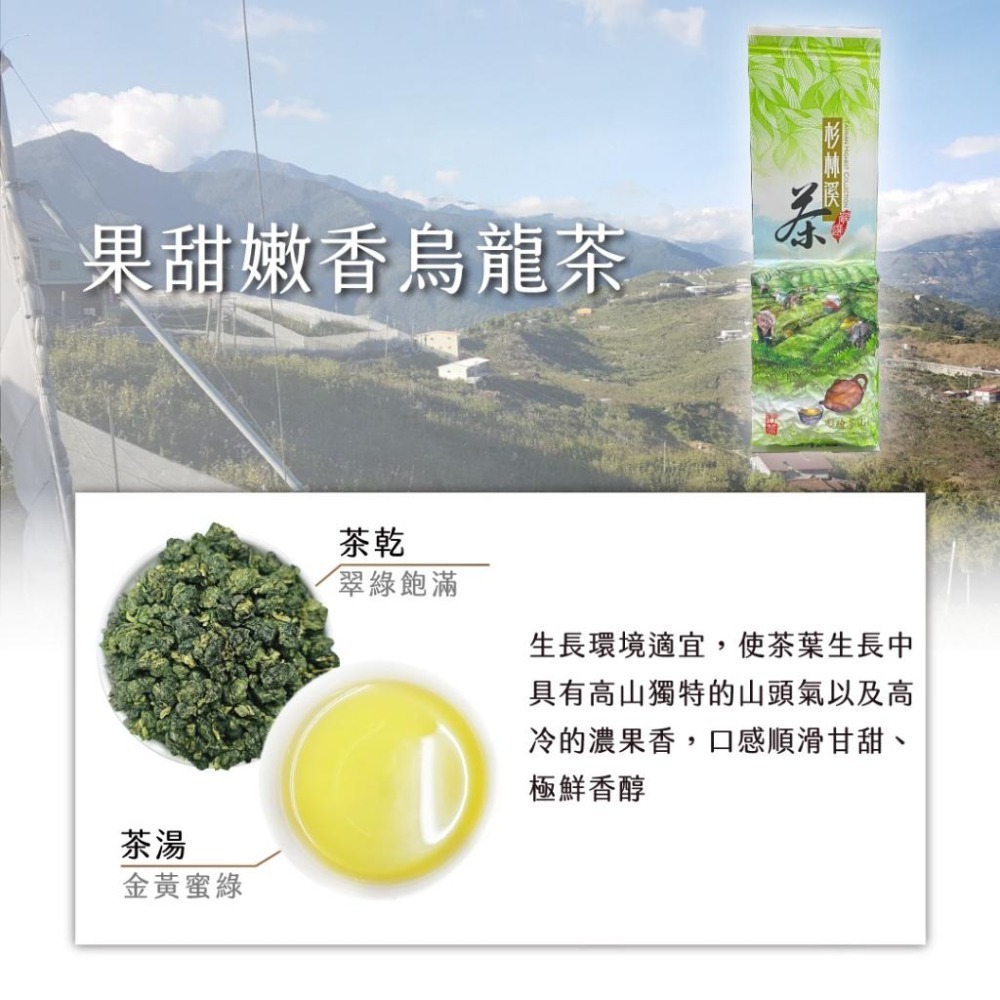 【茶曉得】杉林溪果甜嫩香烏龍茶葉 150gx2件組-細節圖2