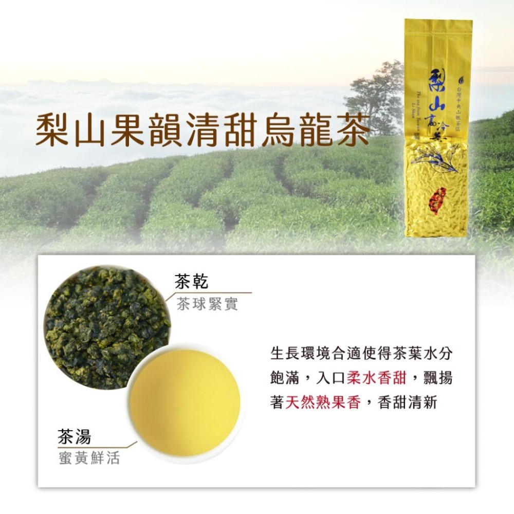 【茶曉得】梨山果韻清甜烏龍茶 150gx1入-細節圖2