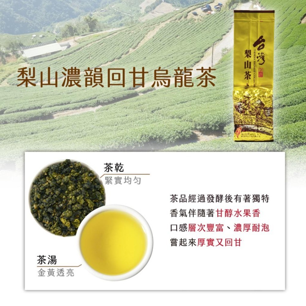 【茶曉得】梨山濃韻回甘烏龍茶葉 150gx1入-細節圖2
