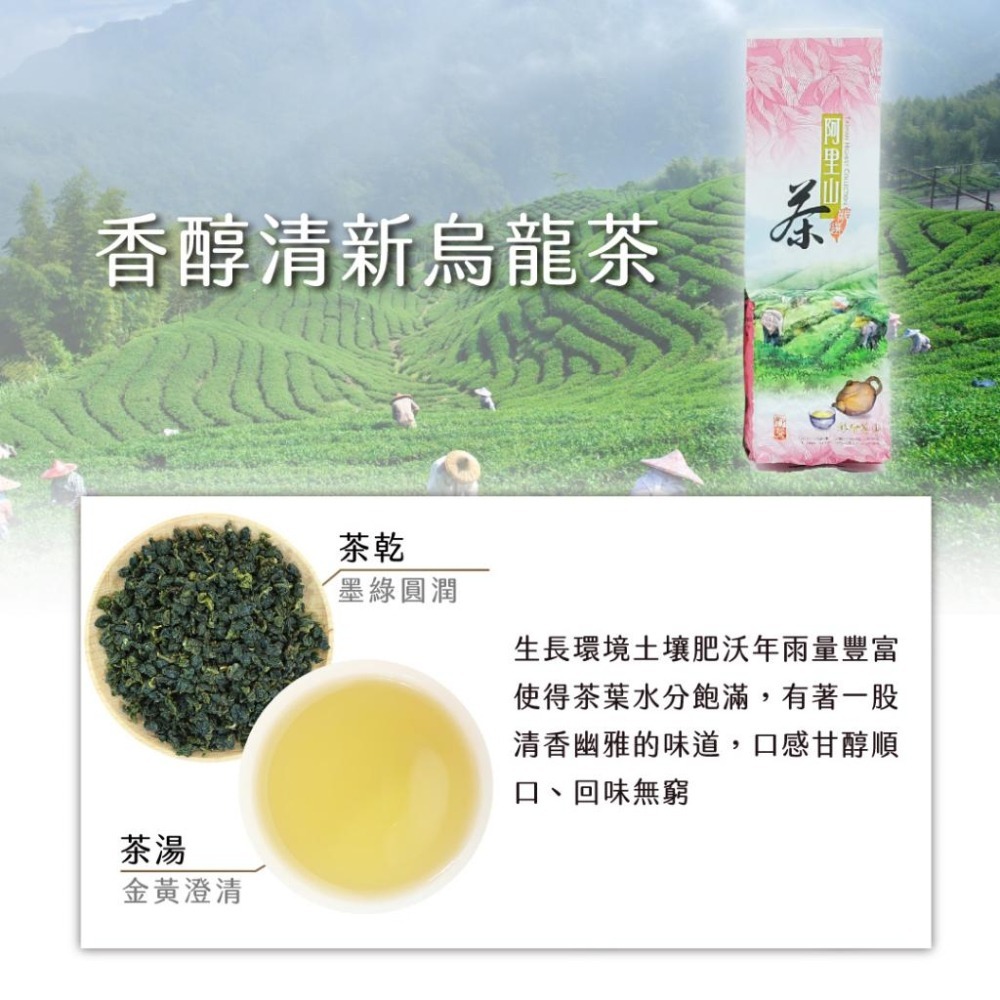 【茶曉得】阿里山香醇清新烏龍茶 150gx2件組-細節圖2
