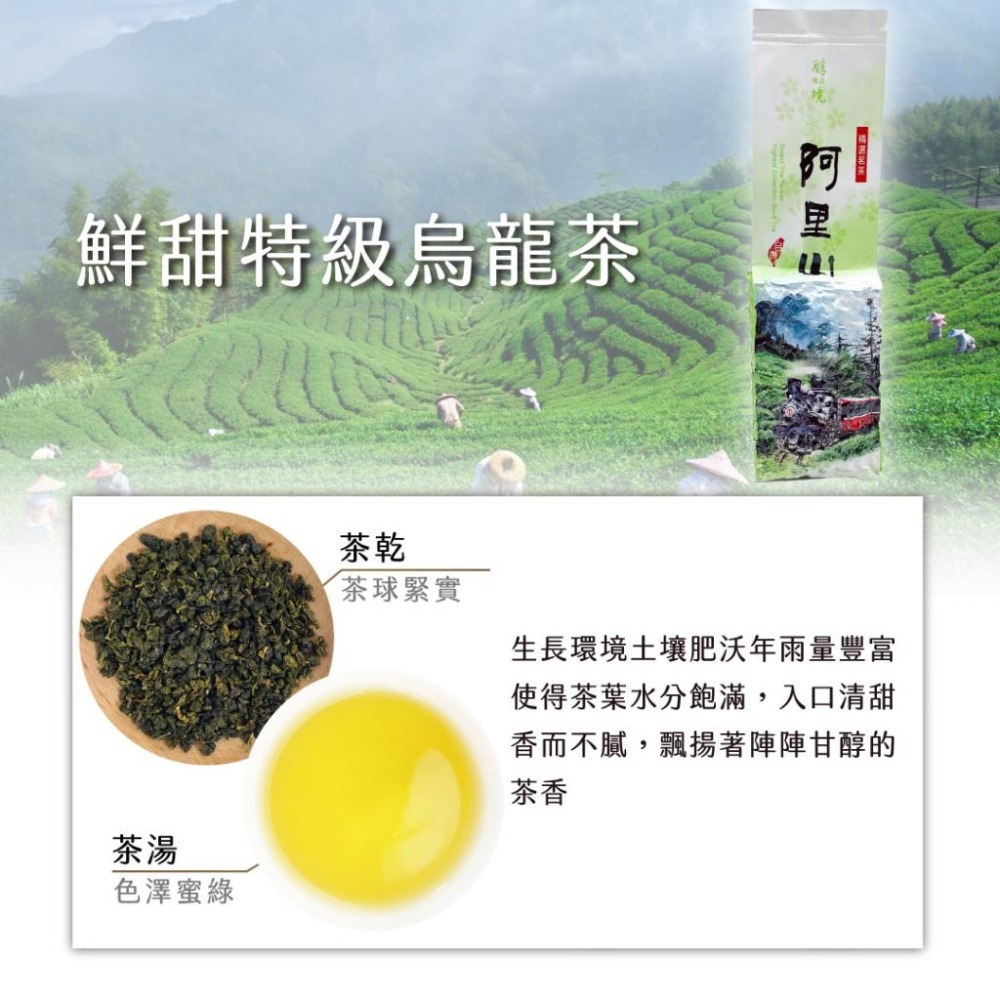 【茶曉得】阿里山純淨原香烏龍茶綜合組 任選口味4入組/綜合6入組-細節圖4