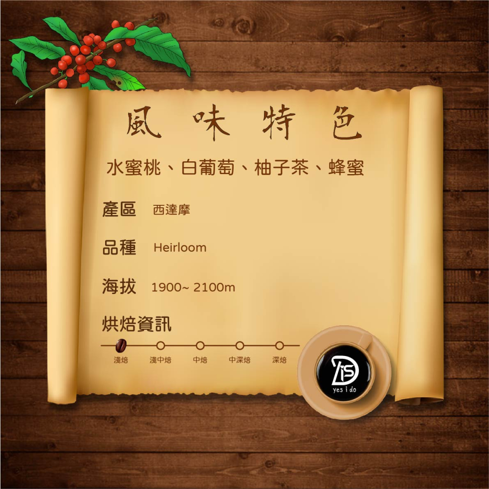 濾掛咖啡 衣索比亞 西達摩 檸檬花蜜 茉莉雅G1 水洗 淺焙 冷萃咖啡 10包入 coffee【YSID】-細節圖2