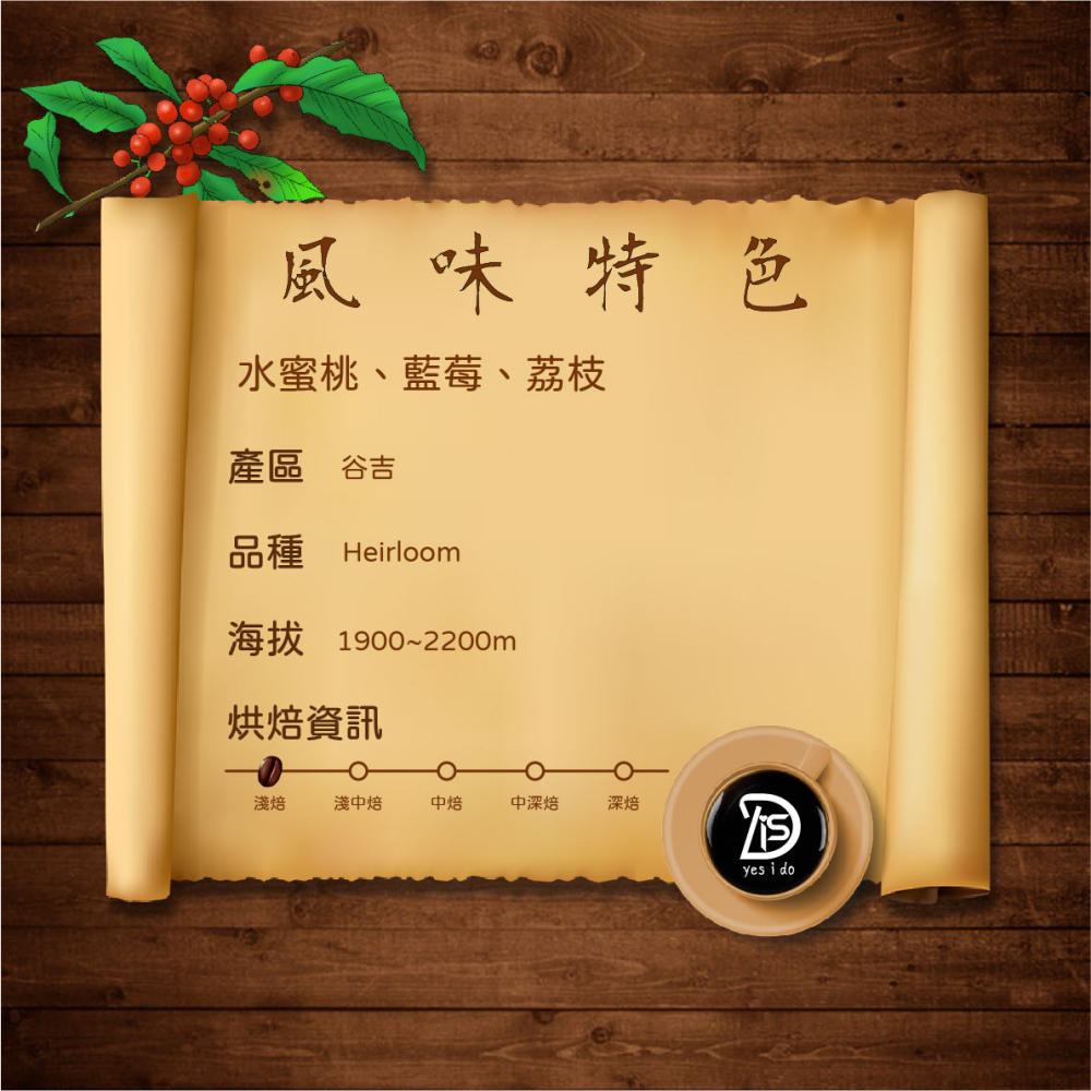 濾掛咖啡 衣索比亞 水仙 谷吉 烏拉嘎 G1 日曬 淺焙 冷萃咖啡 10包入 coffee【YSID】-細節圖2