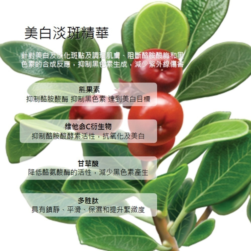 美白淡斑精華(油) Bright Plus Serum / Corrective Dark Spot Solution-細節圖2
