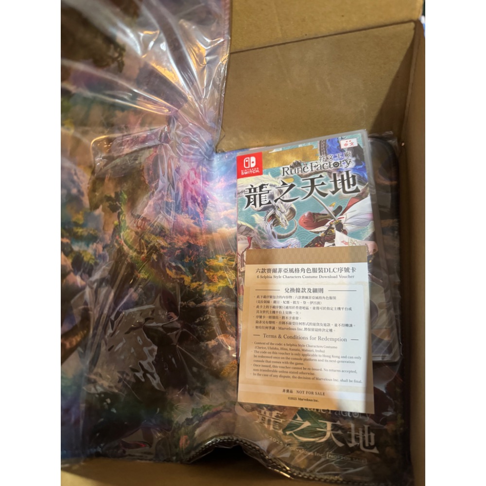 ns switch 符文工廠 天地之龍 含首批雙特點 中文版-細節圖2
