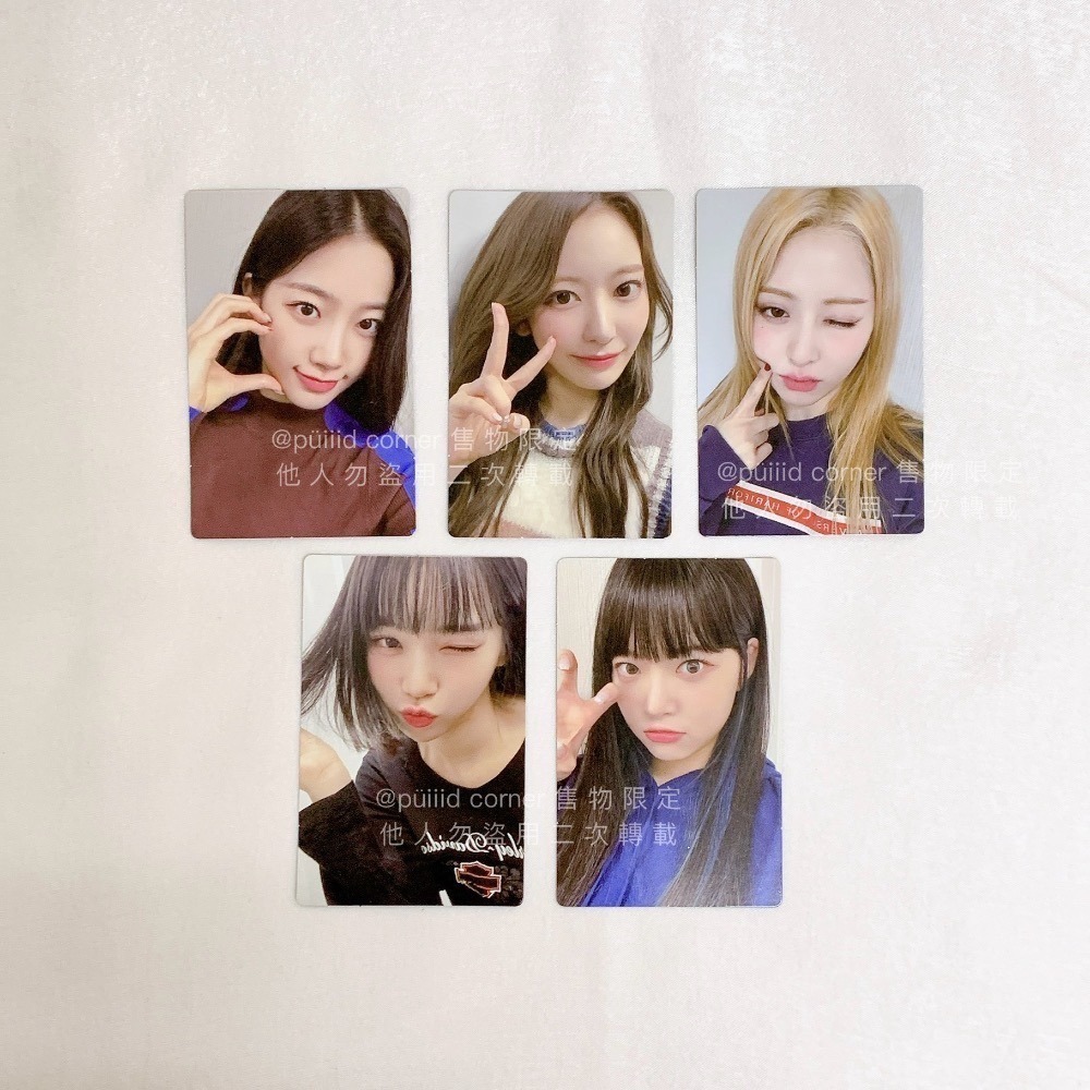 現貨Lesserafim🩵一期 會員禮 FEAR NOT 筆記本 小卡 收納包 恩採 中村一葉 金采源 允真 小櫻花-細節圖2