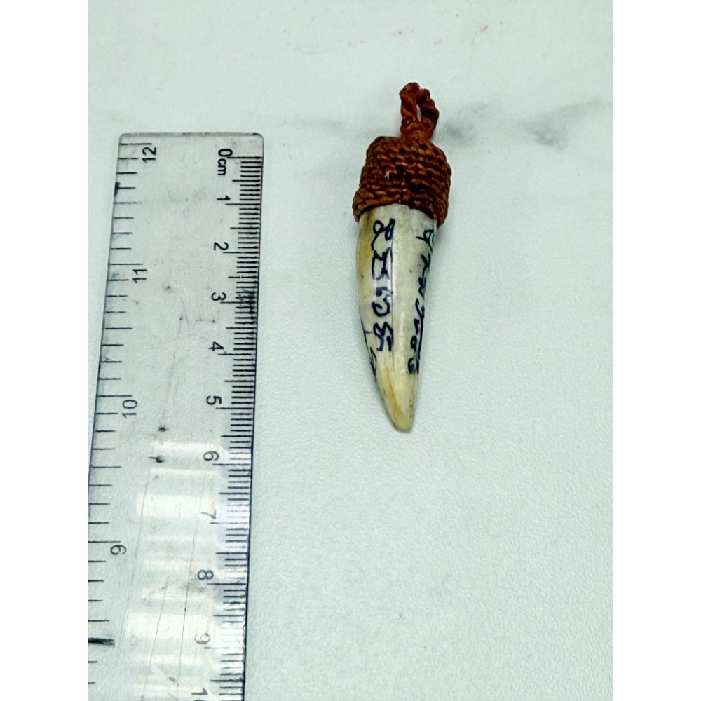 泰國佛牌，龍普keaw，2568，咬財鱷魚牙-規格圖2