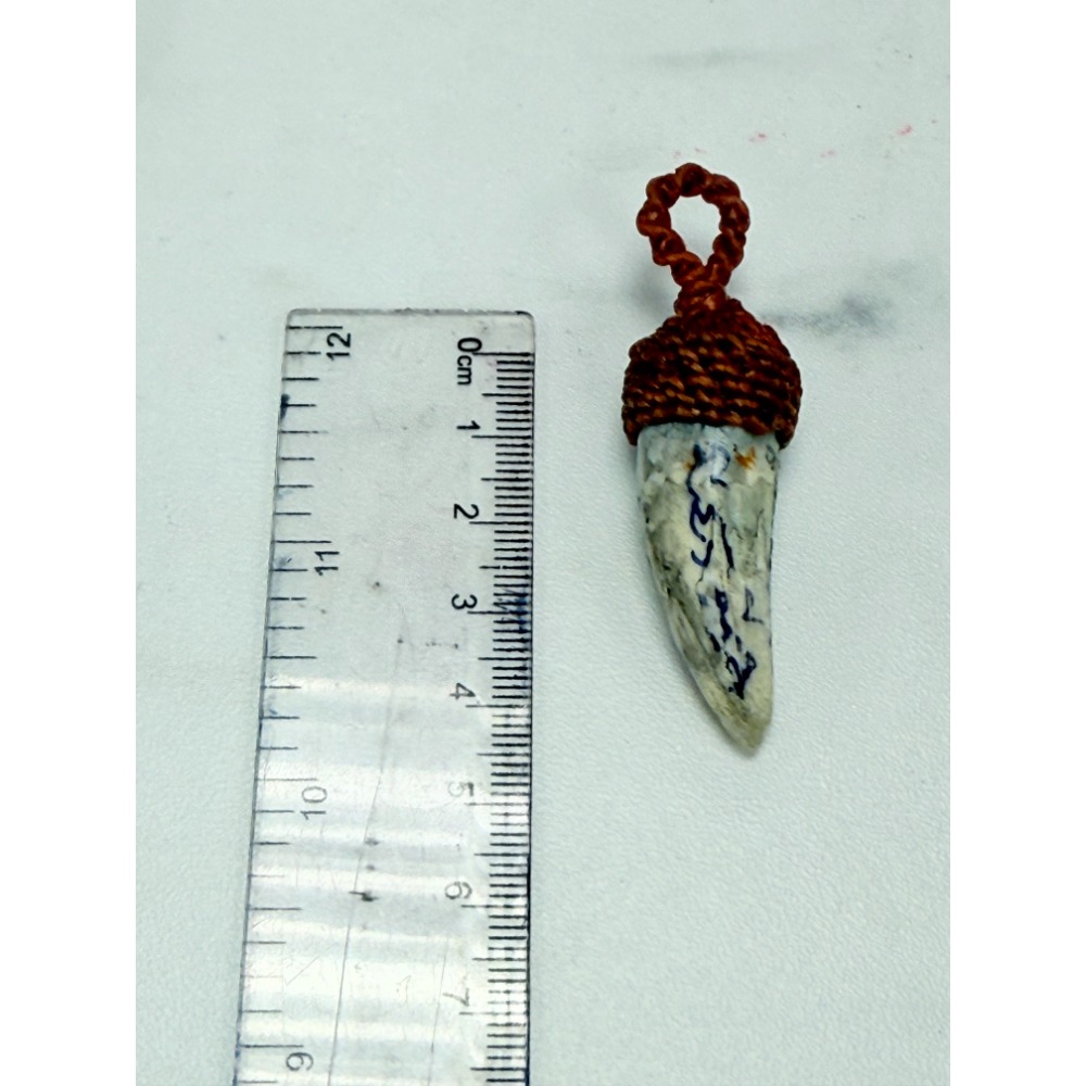 泰國佛牌，龍普keaw，2568，咬財鱷魚牙-規格圖2