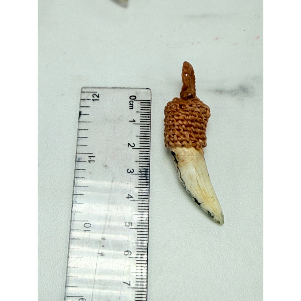 泰國佛牌，龍普keaw，2568，咬財鱷魚牙-規格圖2