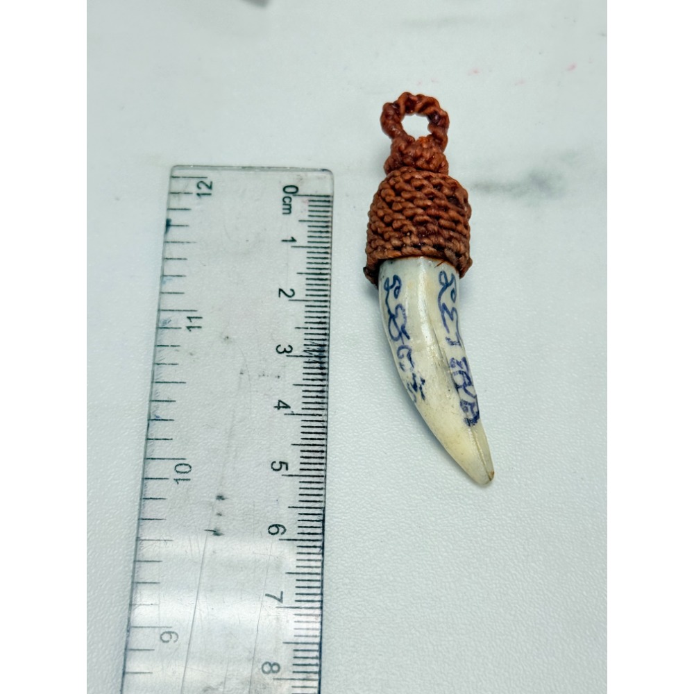 泰國佛牌，龍普keaw，2568，咬財鱷魚牙-規格圖2