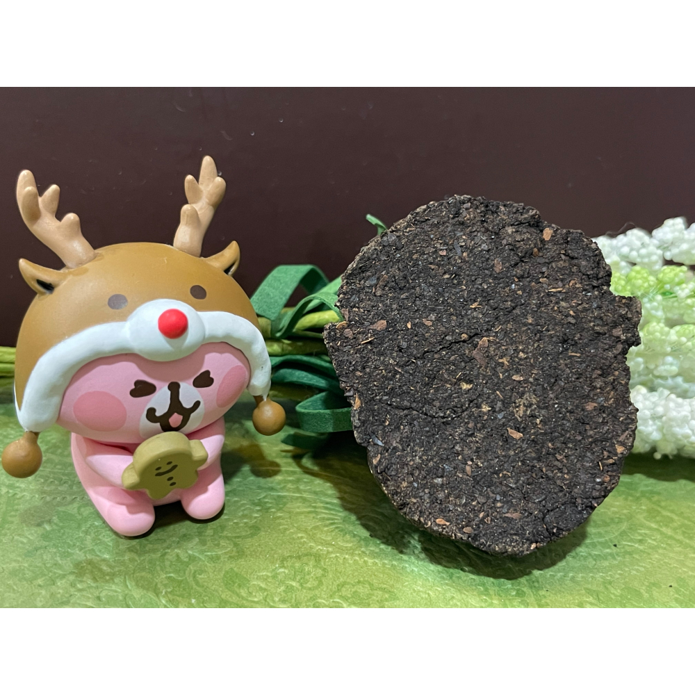 泰國佛牌，古巴薩席，犽送北-細節圖2