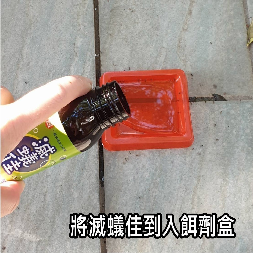 滅蟻佳 螞蟻 餌劑 防治疣胸琉璃蟻 50ml 100ml補充瓶 螞蟻藥 除螞蟻 螞蟻剋星 滅蟻-細節圖5