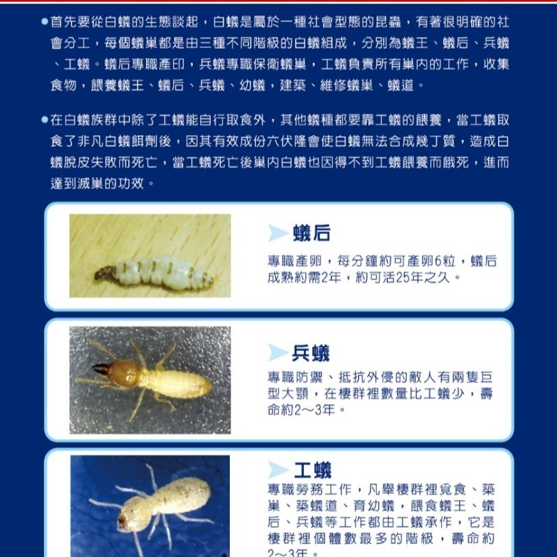 【非凡 白蟻餌劑】病媒防治業者使用的 白蟻餌劑 六伏隆100g ~ 除白蟻 滅白蟻 杜絕白蟻 驅蟲 除蟲-細節圖3