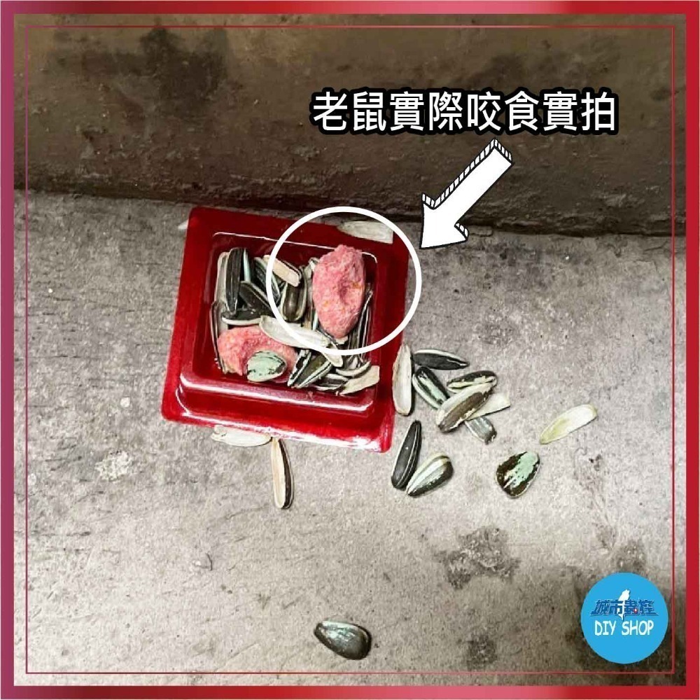 滅鼠專家 總治鼠 除鼠 錠狀 老鼠藥 老鼠餌劑 DIY 捕鼠 必備 獨家贈專用安全餌盒 原廠公司貨-細節圖4