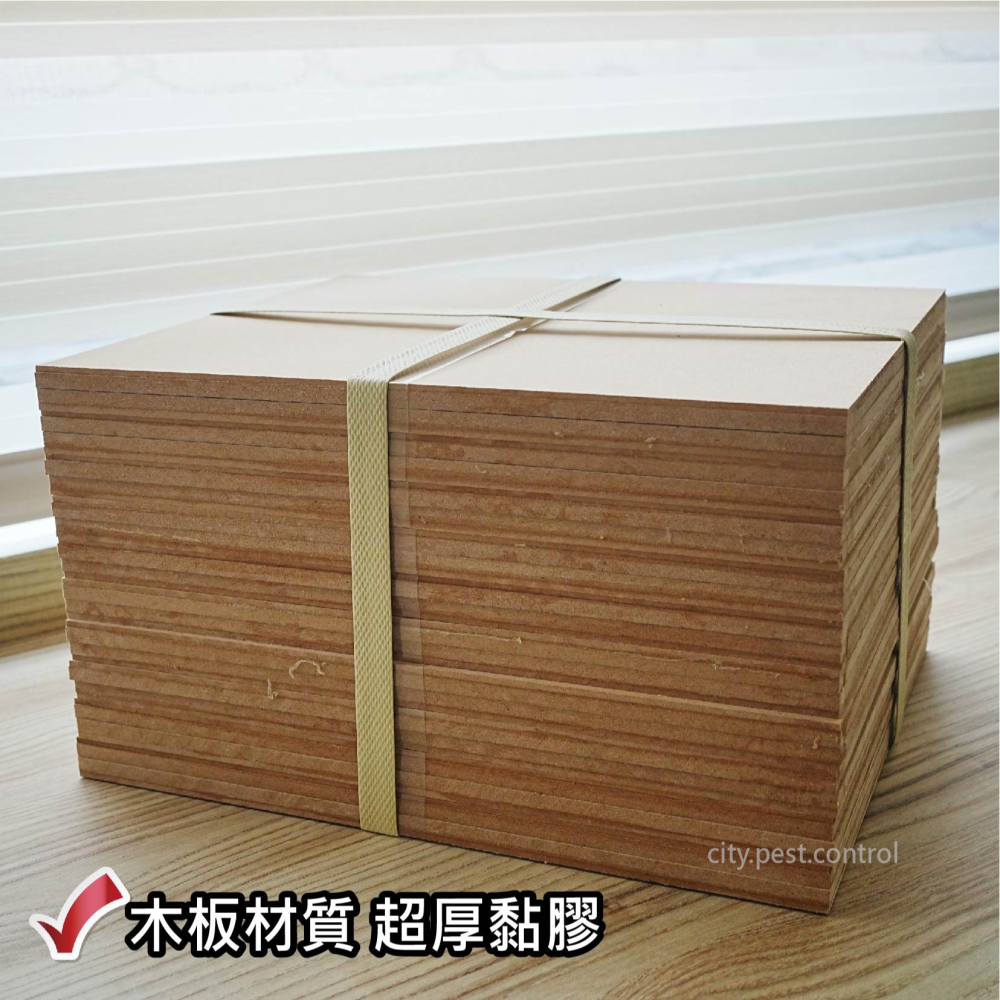 台灣製 黏鼠板 30x25cm 木板材質 (2入裝) 捕鼠用具 粘鼠板 除鼠公司專用型 捕鼠用具-細節圖3