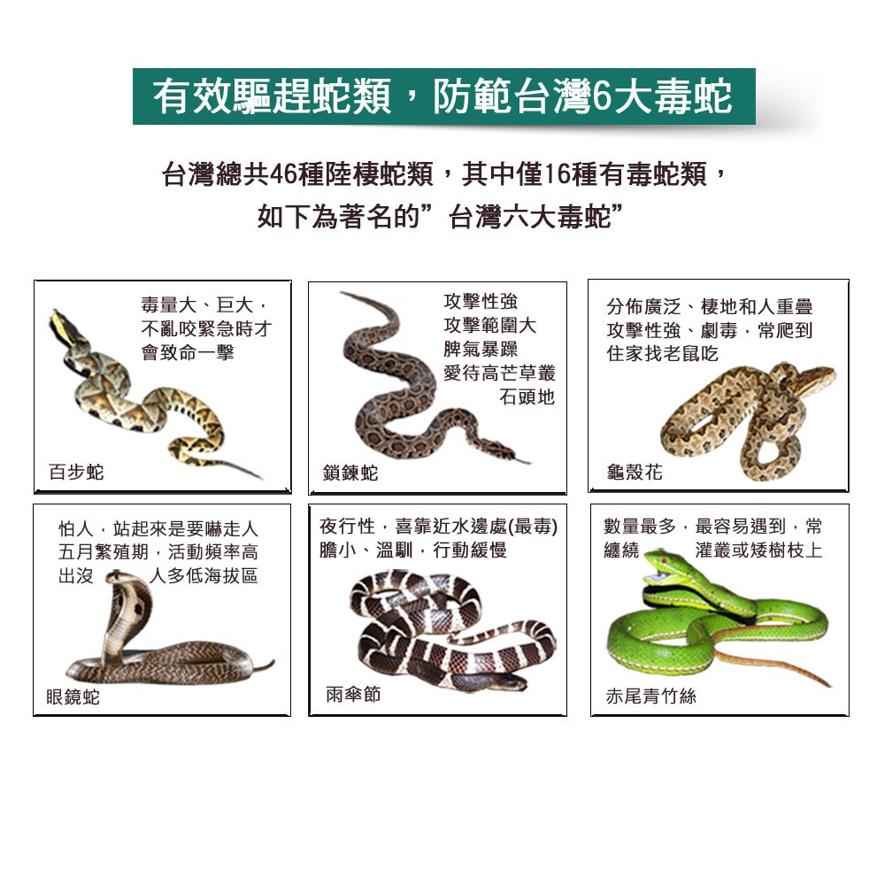 驅蛇寶 蛇類忌避劑 Snake-A-Way 驅蛇粉 防蛇粉 驅蛇劑 防蛇劑 露營必備 ❤️美國原裝進口❤️-細節圖8